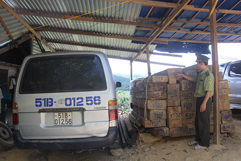 Bắt ô tô vận chuyển gỗ lậu