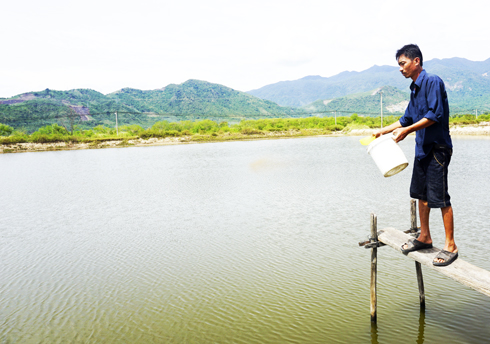 Gỡ khó cho người nuôi tôm