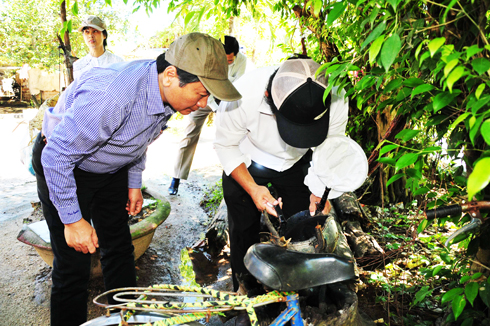 Diên Khánh: Dịch sốt xuất huyết có nguy cơ bùng phát