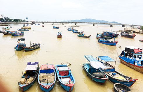 Quản lý tàu cá hoạt động gần bờ: Nên giao cho UBND cấp xã