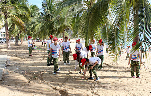 Green Sunday on beach