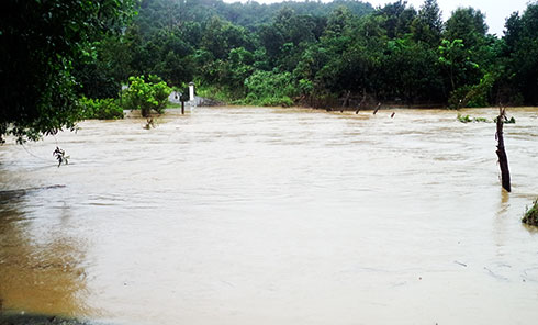 Cảnh báo lũ trên các sông trong tỉnh Khánh Hòa