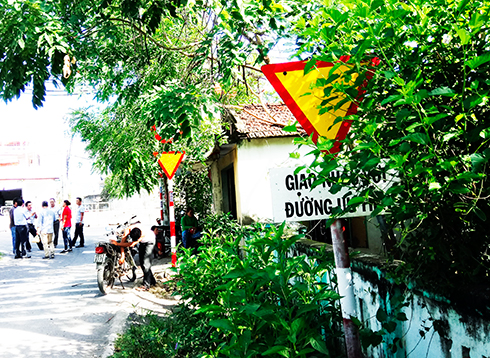 Biển báo giao thông bị khuất tầm nhìn