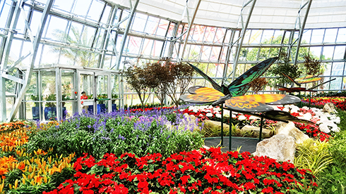 Bình ổn du lịch dịp lễ 2-9