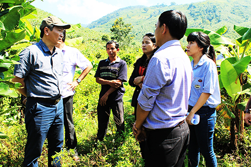 Khánh Sơn: Cần nhân rộng mô hình sản xuất có hiệu quả cao