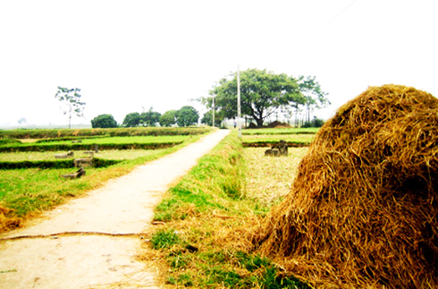 Những con đường không tên