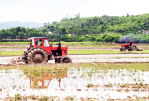 Các hợp tác xã: Khó tiếp cận vốn vay