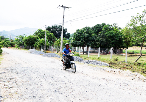 Đầu tư đường Xóm Mới - Cam Thịnh