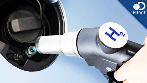 Sắp có nhiên liệu sạch làm từ ánh sáng và chất béo