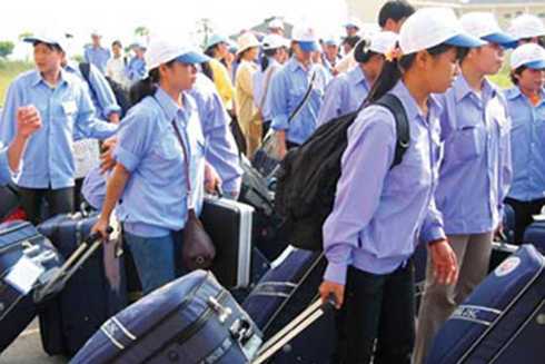 Các doanh nghiệp cần tuyển 500 lao động