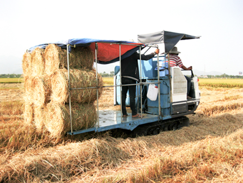 Nhiều sản phẩm mang tính ứng dụng cao