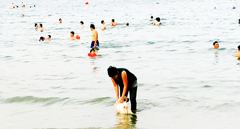 Người dân vô tư dẫn chó xuống tắm biển