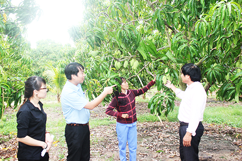 Bài 2: Giải pháp nào để giảm nghèo hiệu quả?