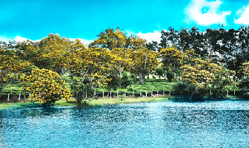 Ngắm Tây Hồ giữa lòng cao nguyên