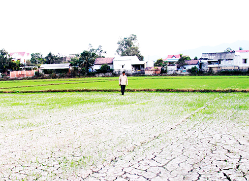 Chuyển đổi mục đích sử dụng đất không cần xin phép