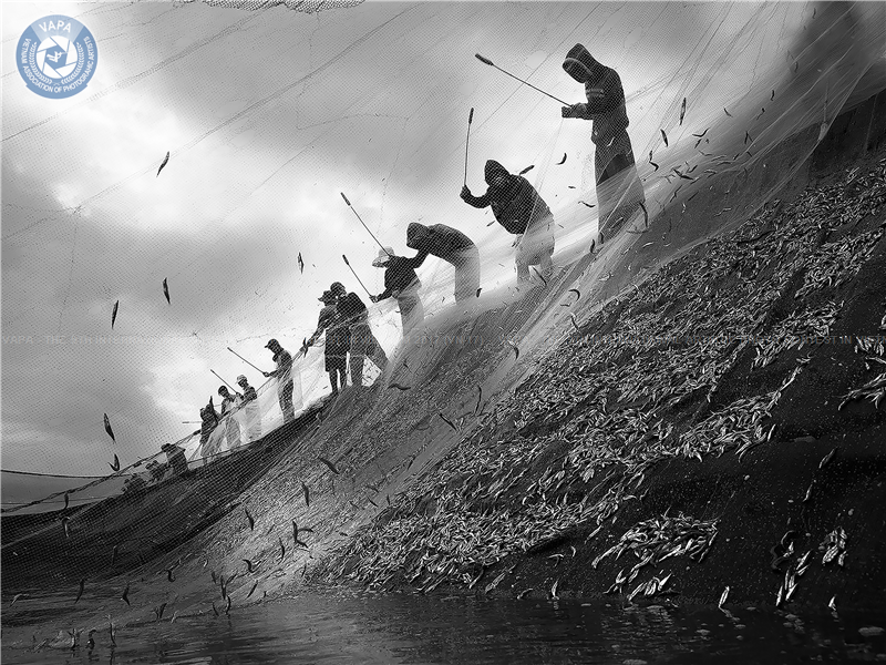 3 tác giả Khánh Hòa đoạt giải thưởng cuộc thi Ảnh nghệ thuật quốc tế lần thứ 9