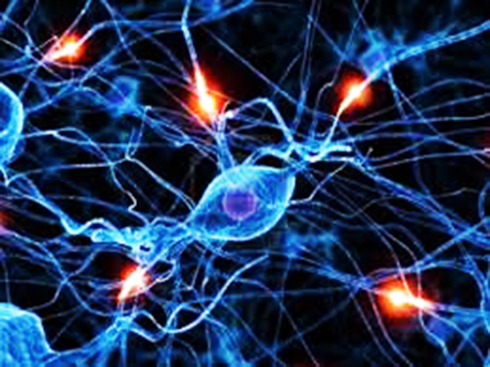 Con chip giúp phát hiện sớm các tế bào ung thư tấn công