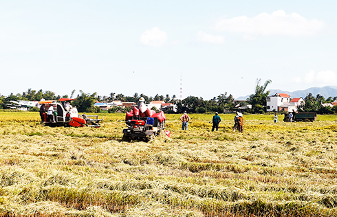 Quỹ hỗ trợ phát triển hợp tác xã: Cần sớm hình thành