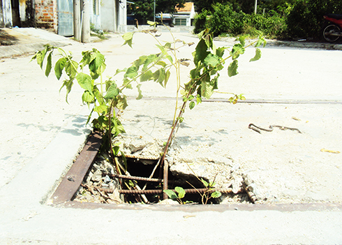 Nắp hố ga nguy hiểm