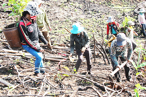 Chính sách bảo vệ và phát triển rừng theo Nghị định 75: Chậm triển khai