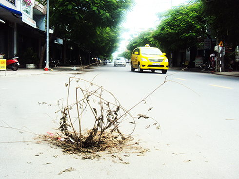 Hố sâu giữa đường