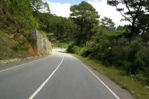 Thuê xế hộp để vận chuyển lâm sản