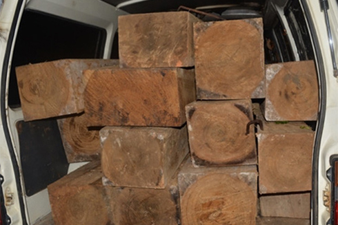 Đội Kiểm lâm cơ động tỉnh: Tạm giữ 1 ô tô vận chuyển gỗ lậu