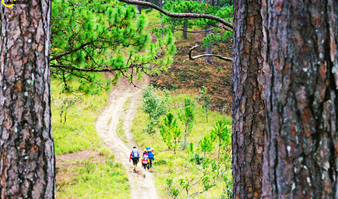 Xuyên rừng chinh phục nóc nhà cao nguyên Lâm Viên