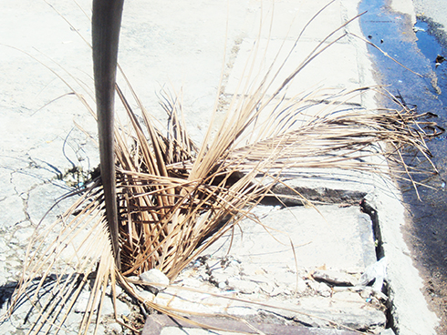 Hố trên vỉa hè