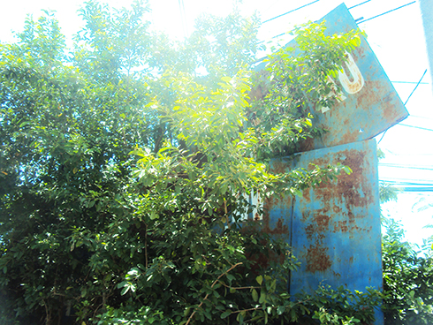 Pa-nô tuyên truyền mất tác dụng