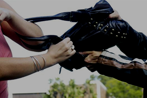 Du khách bị giật túi xách