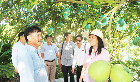 Đào tạo nghề cho lao động nông thôn: Còn nhiều khó khăn, bất cập
