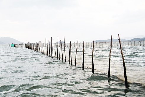 Khai thác thủy sản bằng nghề đăng nò ở đầm Nha Phu: Cần xử lý quyết liệt