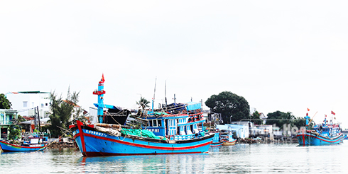 Nhiều tàu cá ở phường Vĩnh Phước phải nằm bờ vì sợ bị bắt