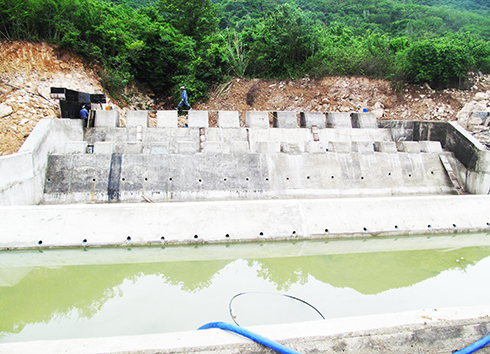 Thi công hệ thống chống lũ 4 lớp cho Khu dân cư Đường Đệ