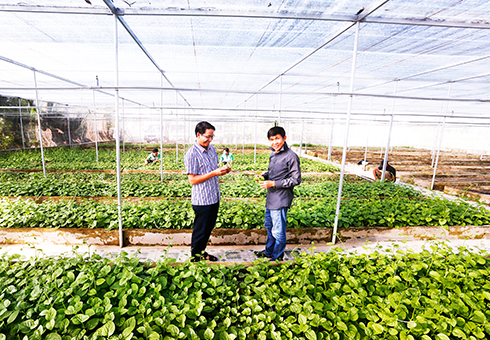 Safe planting and breeding on the rise