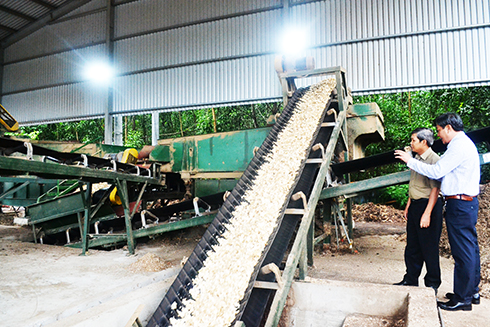 Giới thiệu mô hình trình diễn kỹ thuật chế biến dăm gỗ