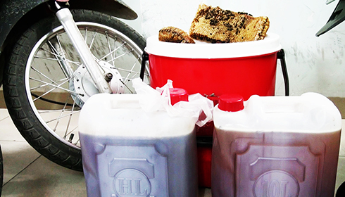 Lật tẩy "công nghệ" làm… mật ong rừng