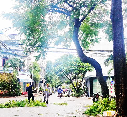 Cắt, tỉa cành cây trên đường Âu Cơ