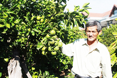 Bón phân vi sinh cho cây trồng bằng phương pháp tưới nhỏ giọt