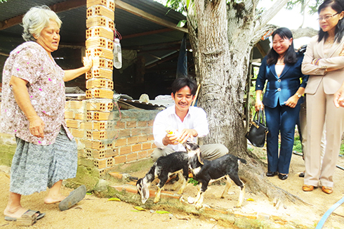 Liên kết nuôi dê phát triển kinh tế