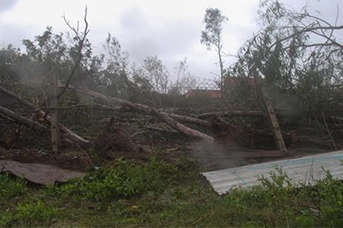 Thị xã Ninh Hòa tan hoang khi bão đến