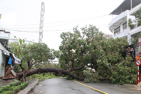 Tính đến cuối ngày 4-11: Toàn tỉnh Khánh Hòa có 14 người chết