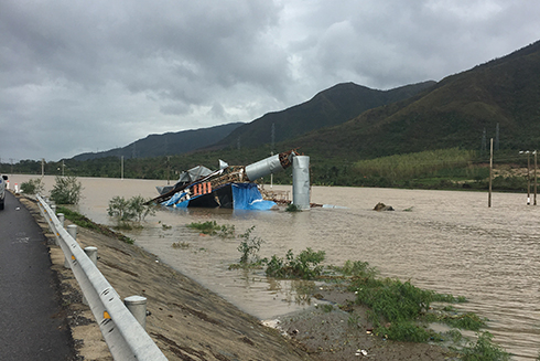 Hỗ trợ nông dân thị xã Ninh Hòa 50 triệu đồng