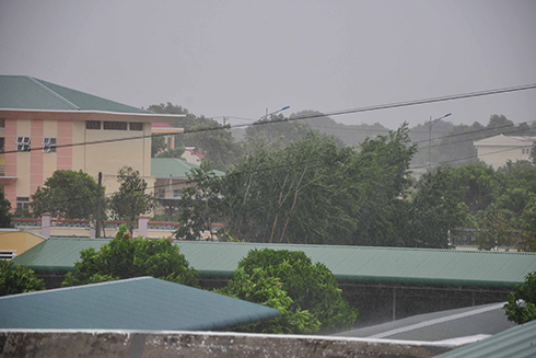 Cam Lâm: Hiện ước thiệt hại hơn 93 tỉ đồng