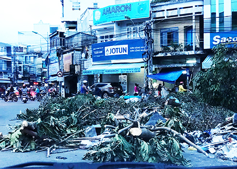 Sau bão, vẫn thấy thiếu…