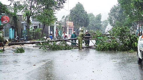 Ngành chức năng của huyện Khánh Sơn khắc phục cây đổ ngay sau cơn bão