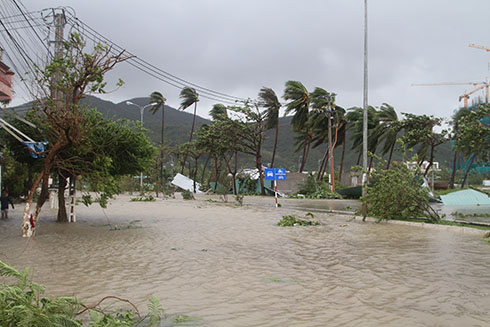 Hỗ trợ lãi suất cho doanh nghiệp vay vốn phục hồi sản xuất sau bão
