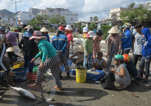 Bão tan, ngư dân bắt đầu ra khơi