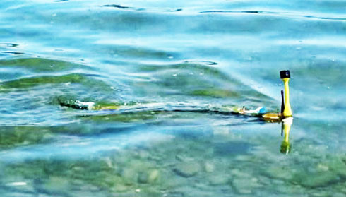 Robot lươn phát hiện ô nhiễm nước